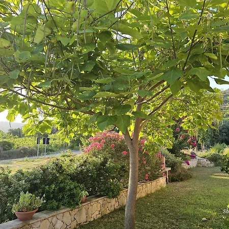 Il Castello Di 住宿加早餐酒店 摩多罗