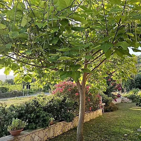 Il Castello Di Modolo (Oristano)