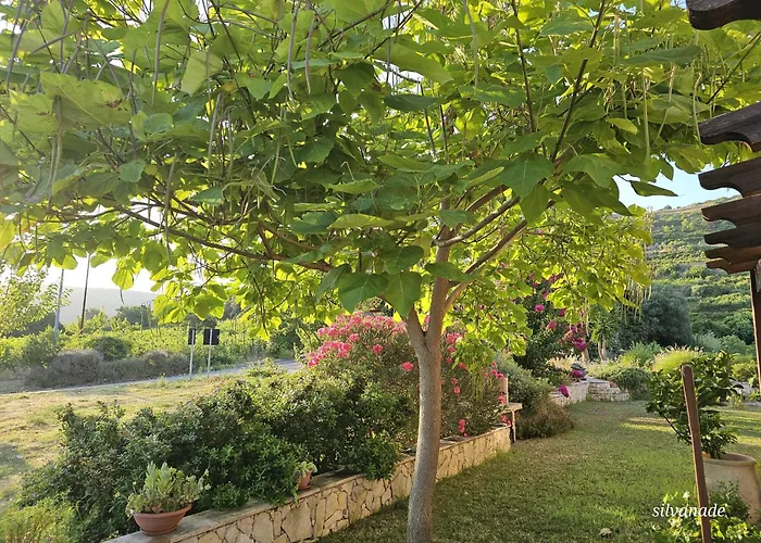 Il Castello Di Bed & Breakfast Modolo (Oristano)