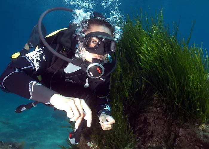 Il Castello Di Bed & Breakfast